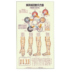 鍼灸補瀉要穴図