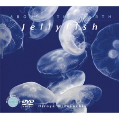 DVD　ジェリーフィッシュ