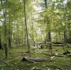 宮下富実夫×Yogini　'Music deep Meditation'For YOGA(MdM)
