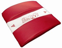 背すじピン!