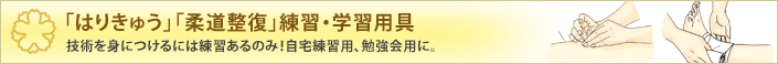 「はりきゅう」「柔道整復」練習・学習用具 技術を身につけるには練習あるのみ！自宅練習用、勉強会用に。
