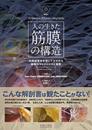 人の生きた筋膜の構造 (DVD付)