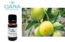 CIANA アロマオイル(ベルガモット)10ml