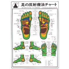 足の反射療法チャート