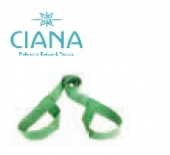 CIANA ヨガトレーニングマット用ベルト