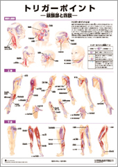 トリガーポイント