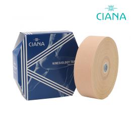 DVD】ガンステッド・カイロプラクティック 基礎編 ｜ 医道の日本社