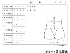 診察チャート