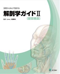 解剖学ガイド[器官構造]