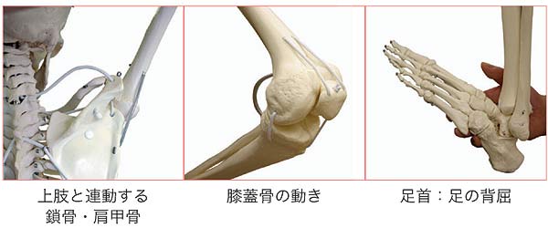 拡大図