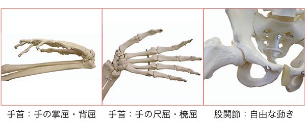 拡大図2