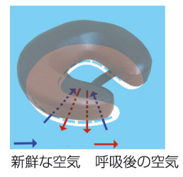 空気の流れ