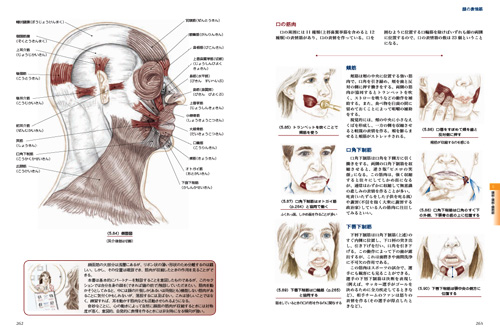 262-263小.jpg