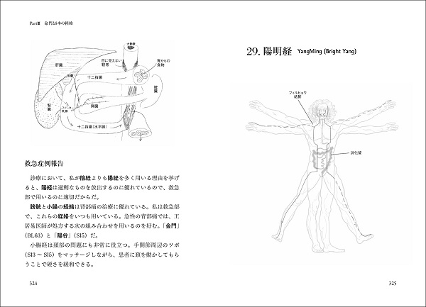 閃めく経絡 現代医学のミステリーに鍼灸の“サイエンス“が挑む