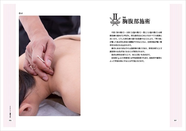 パリコレクション 美容編 てい鍼テクニック -船水隆広のTST2- 医道の日本社 ｜ 健康・医学
