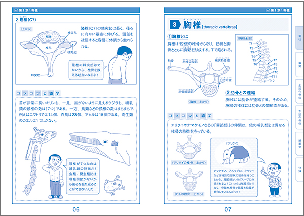 ボーンインパクト