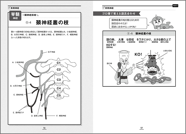神経インパクト ｜ 医道の日本社(公式ショッピングサイト)鍼灸・医療