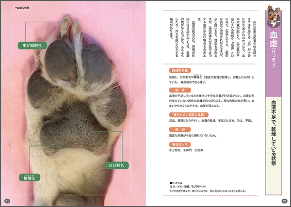 いぬの肉球