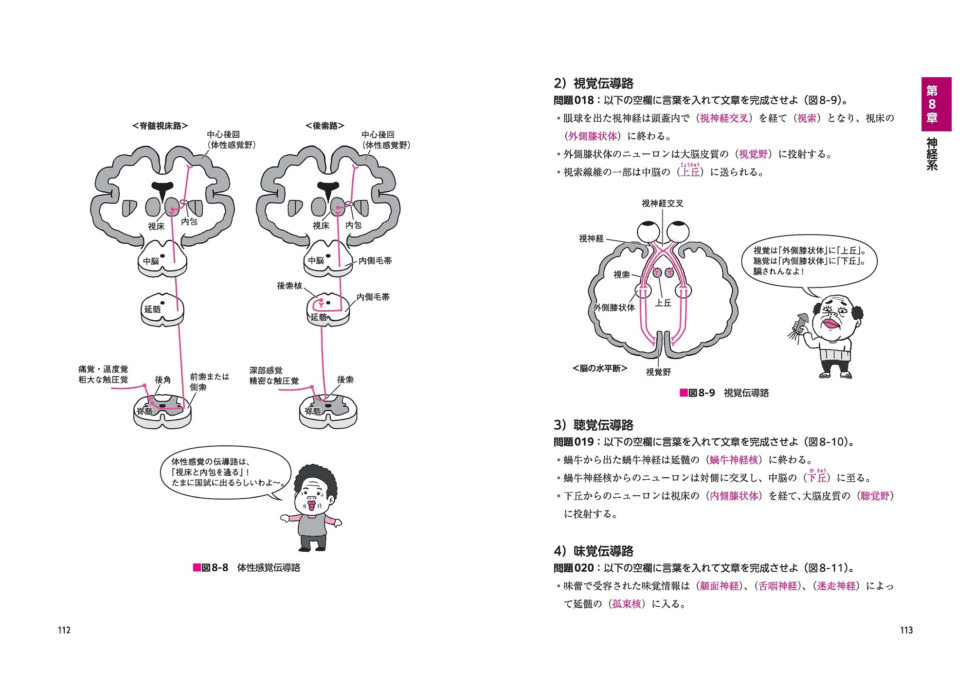 よく出るぜ!ここがポイント- でる兄 魂の解剖学! 国家試験対策問題集