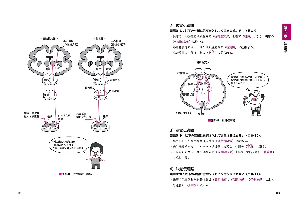 よく出るぜ!ここがポイント- でる兄 魂の解剖学! 国家試験対策問題集