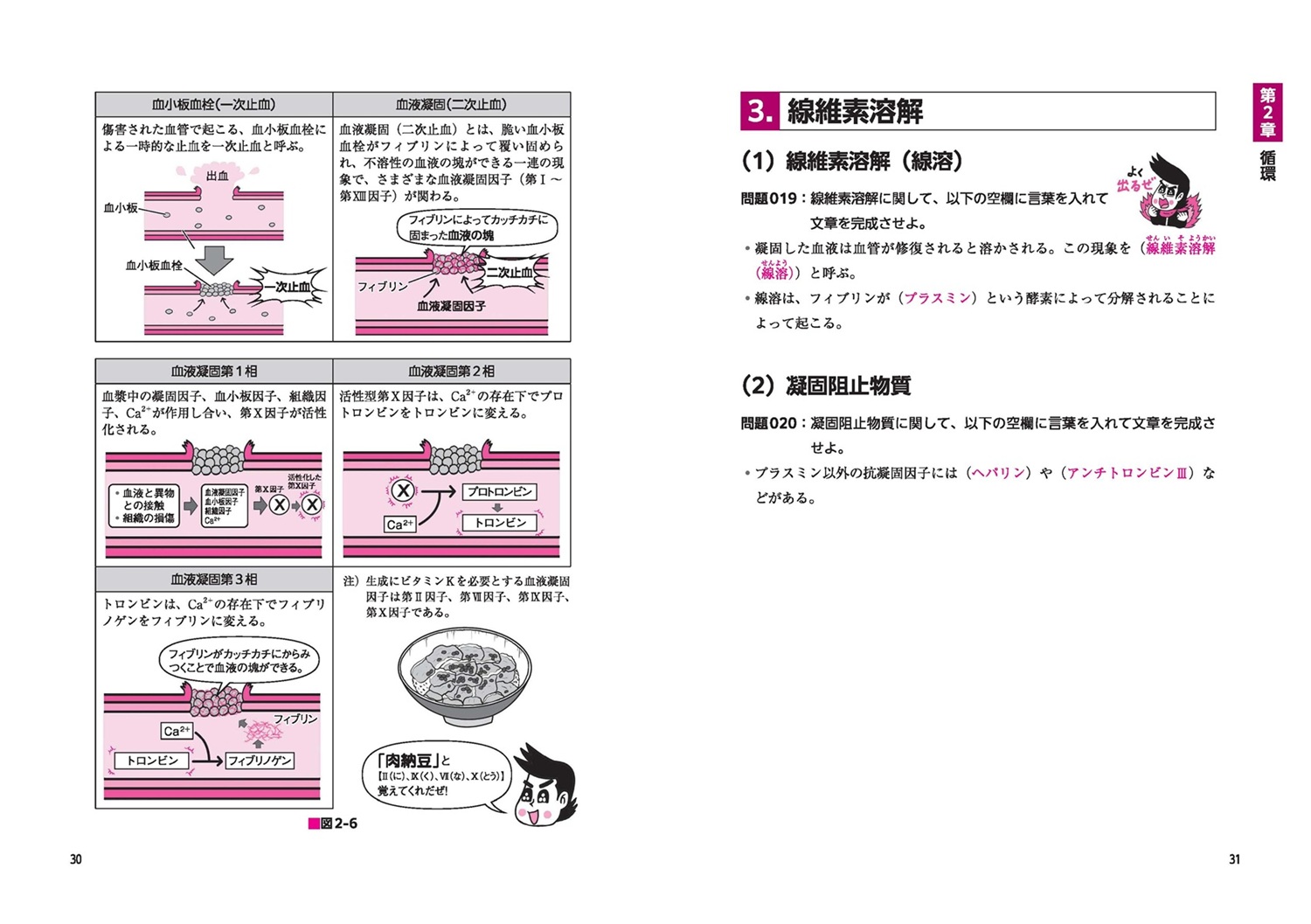 よく出るぜ!ここがポイント- でる兄 正鵠の生理学! 国家試験対策問題集
