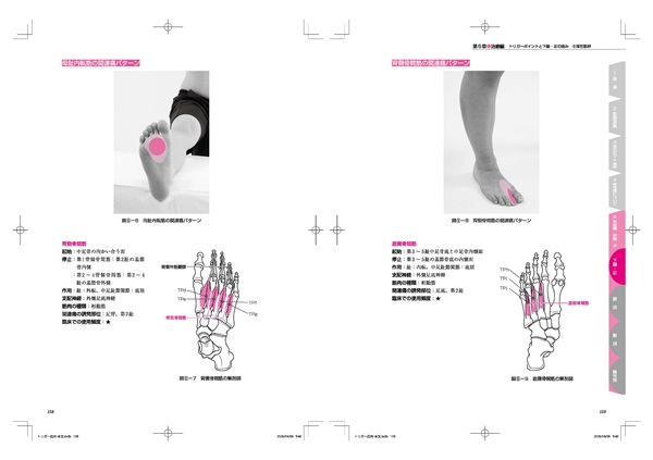 book_1509-6_sample_2s.jpg