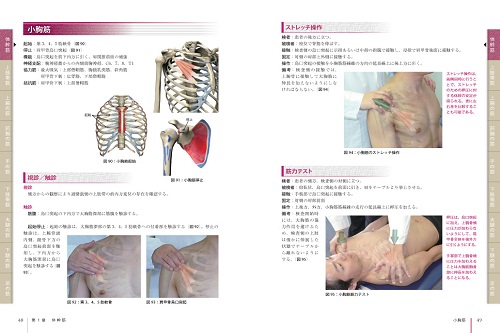 筋機能評価法 ビジュアルで学ぶ触診・ストレッチ・筋力テスト ｜ 医道  