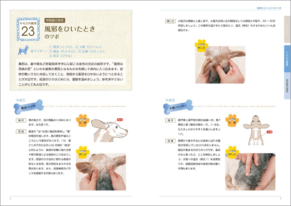 犬のツボ押しbook 医道の日本社 公式ショッピングサイト 鍼灸 医療用具の通信販売 犬のツボ押しbook 医道の日本社 公式ショッピングサイト 鍼灸 医療用具の通信販売
